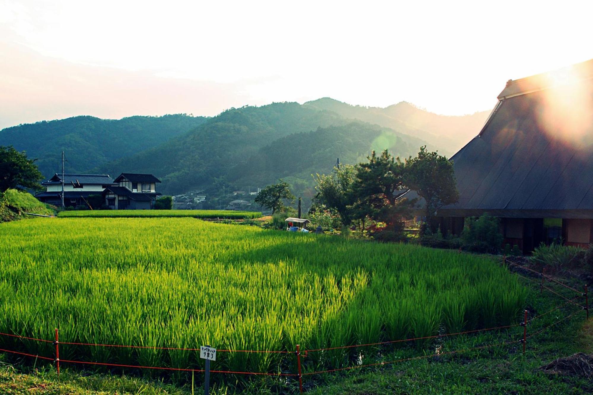 古民家の宿 ふるま家 Furumaya House Gastronomic Farmstay In Deep Kyoto Фукучияма Екстериор снимка